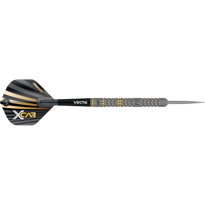 Michael van Gerwen EvoX 90% Steeldarts