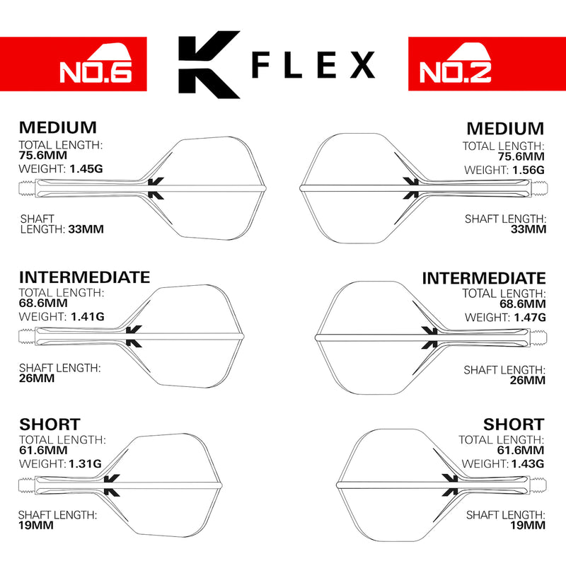 Raymond van Barneveld K-Flex No.2