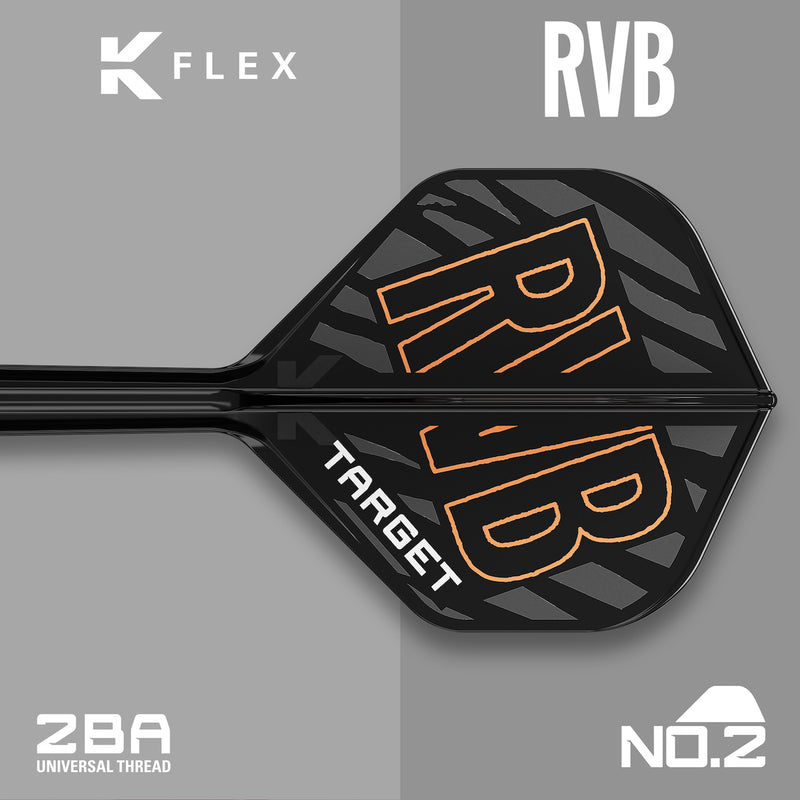 Raymond van Barneveld K-Flex No.2